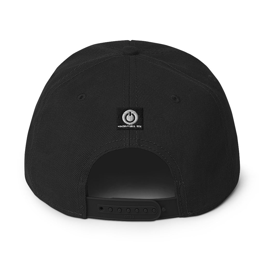 Momentum Snapback Hat